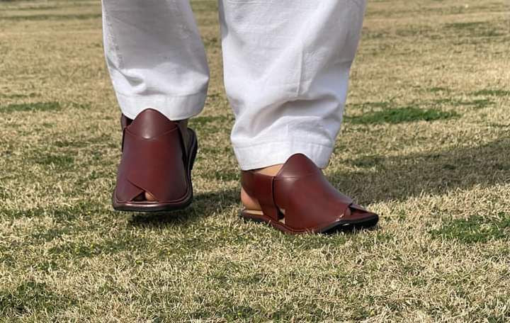 Smart Zalmi Brown